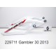 BRAS OSCILLANT SCOTT GAMBLER 10 2013